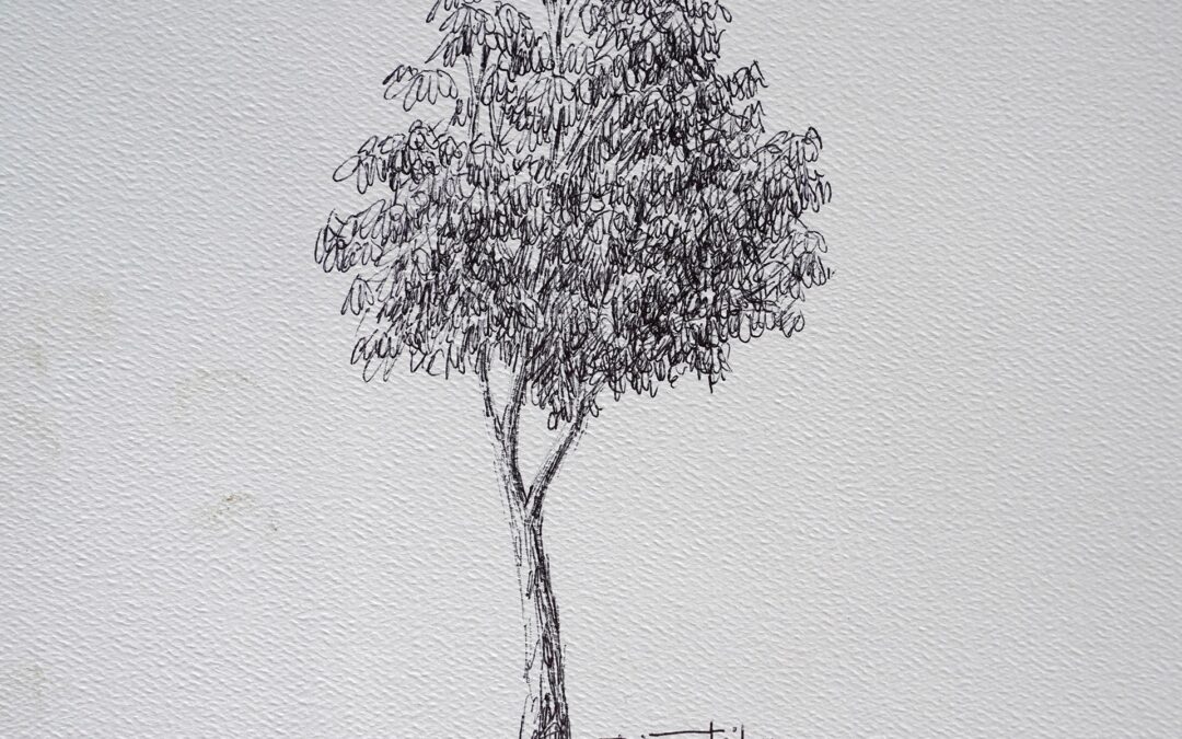 Sketch Tree – 2015