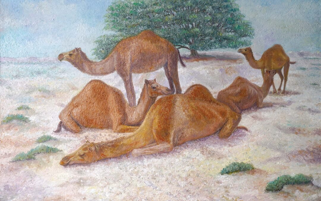 004 Camels near Tree of Life