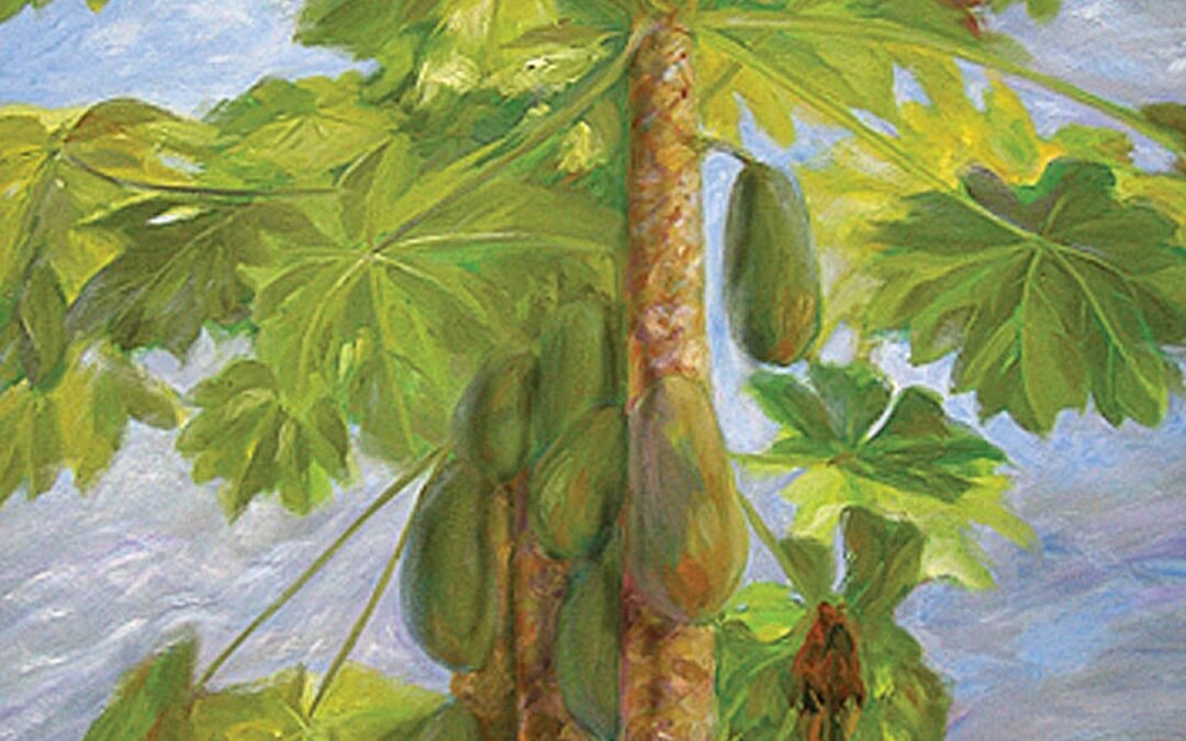 008 Papaya