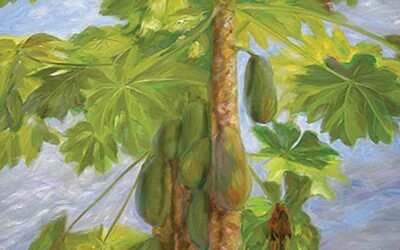 008 Papaya