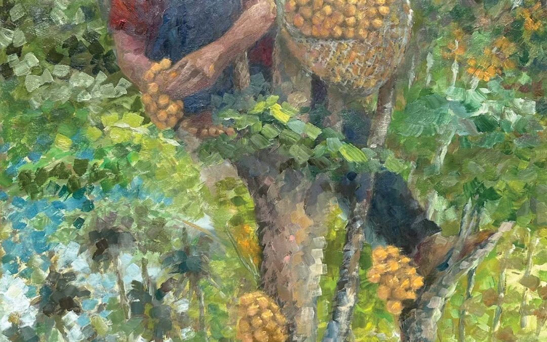 068 Lanzones (The harvest)
