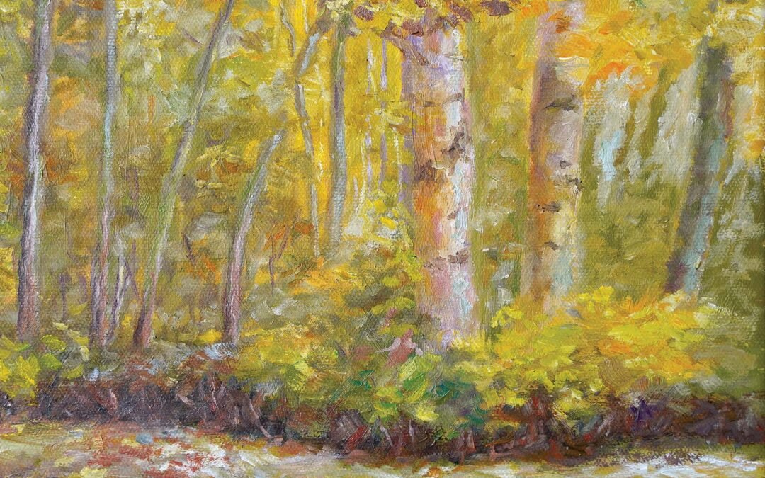 050 – Morningside Park (Fall)
