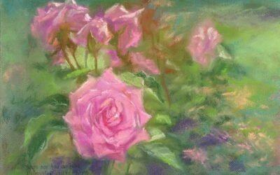 042 Roses for Judy