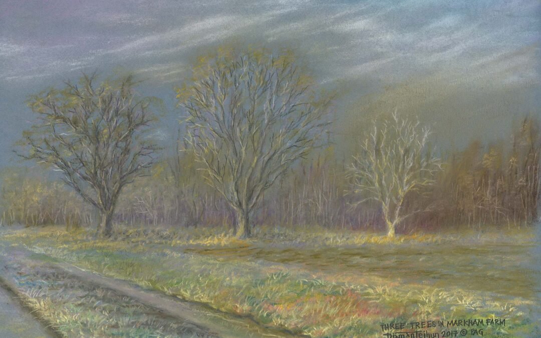 035 Three Trees in Markham Farm